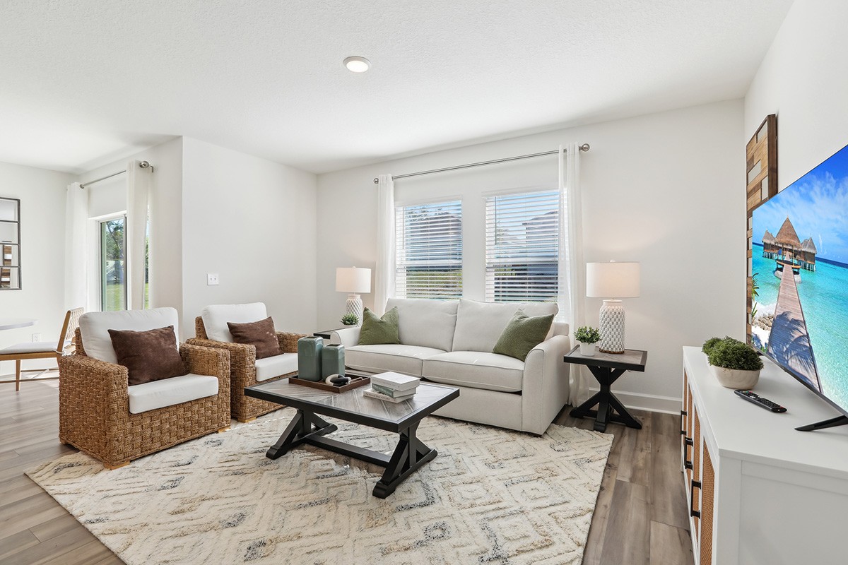 Modern Living Room in Spring Hill with Woven Chairs Modern Spring Hill living room with woven chairs, cozy rug, and elegant decor.