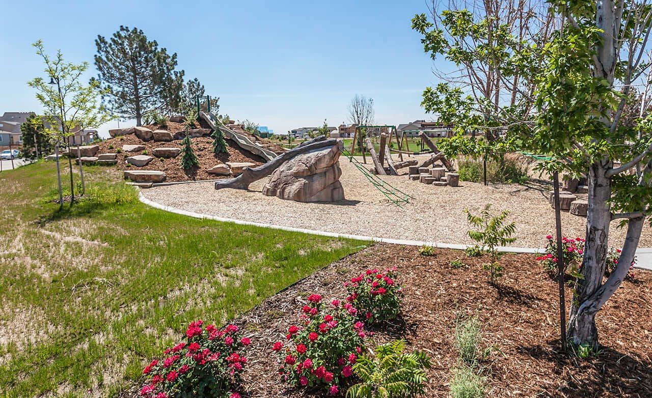 Trailside on Harmony Playground with Natural Climbing Features Scenic playground with climbing features, lush greenery in Trailside on Harmony community.